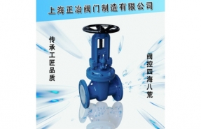 Z41F46 型 PN16、PN25 氟塑料衬里楔式闸阀